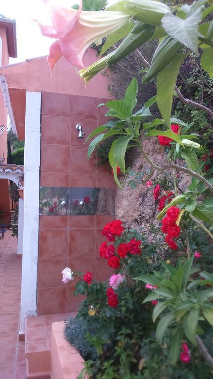 La Torreta Appartamento