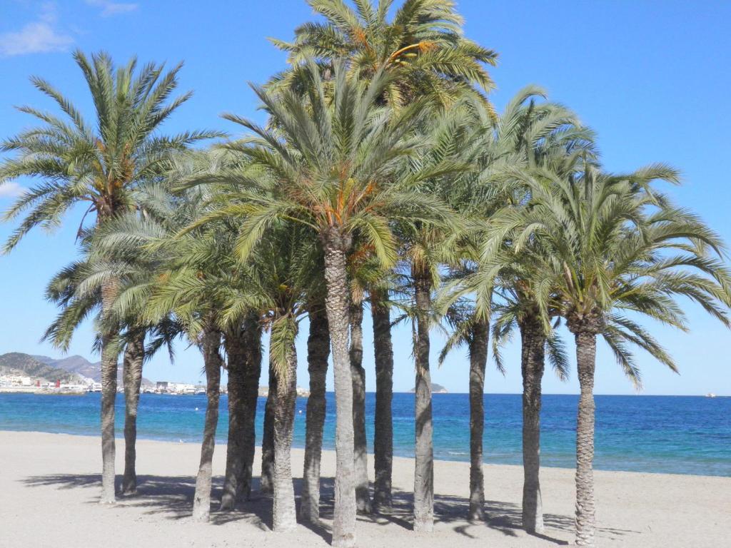 La Torreta Appartamento *