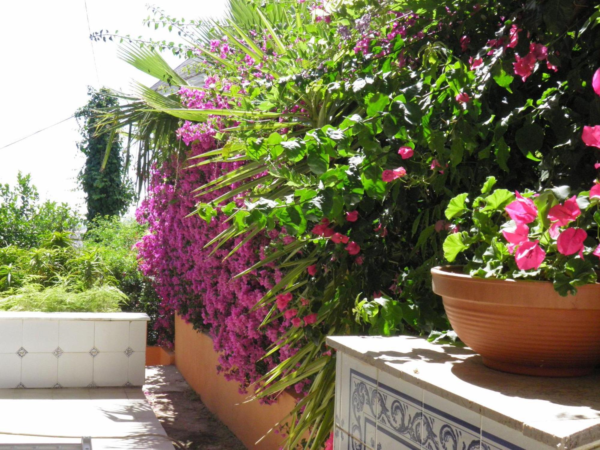 La Torreta Apartment Corbera de Alcira